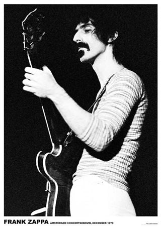 Frank Zappa - Euro Poster