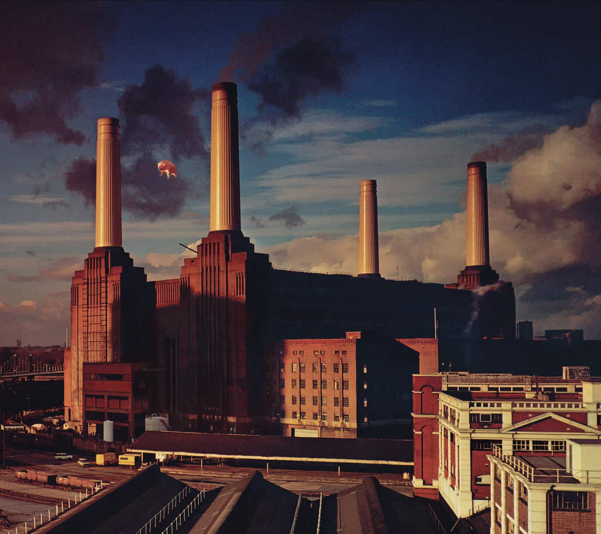Pink Floyd - Animals (Preloved)