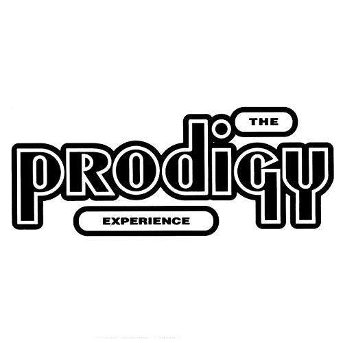 The Prodigy - Experience (2xLP)