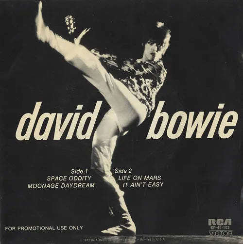 David Bowie - The Man Who Sold The World (Preloved)