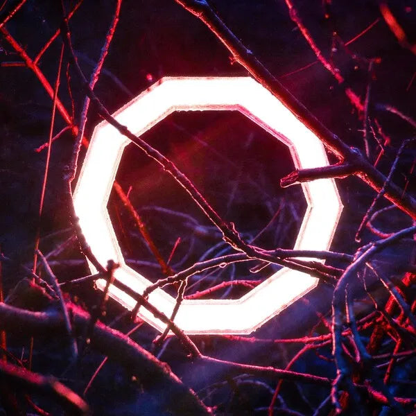 Reflections - Hybrid Minds