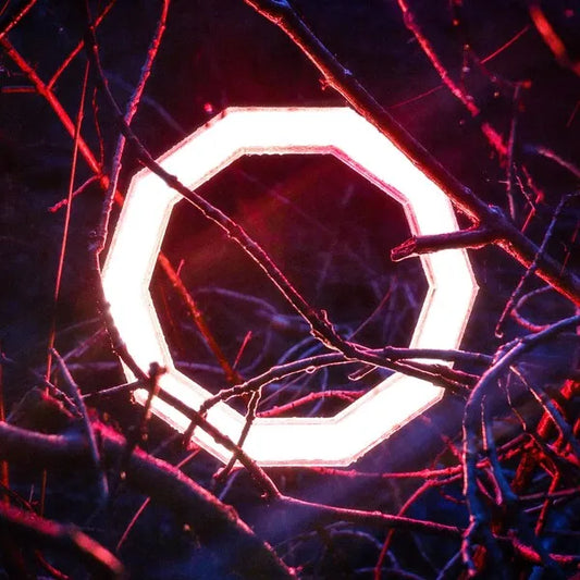 Reflections - Hybrid Minds