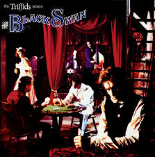 The Triffids - The Black Swan (Preloved)
