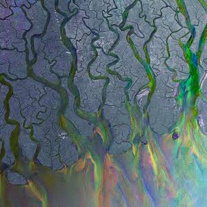 Alt-J - An Awesome Wave (preloved) NM